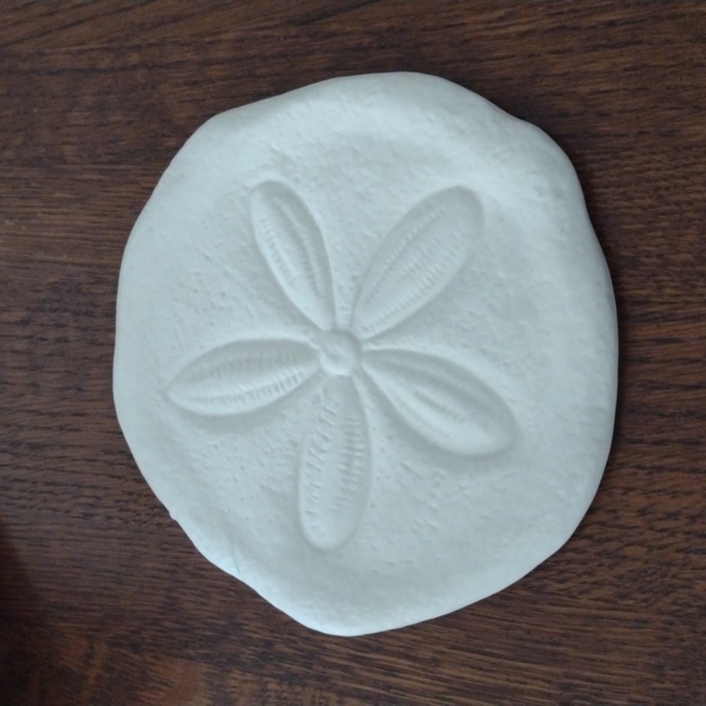 Sand Dollar White Bisque Trinket Beach Wall Decor (b530)